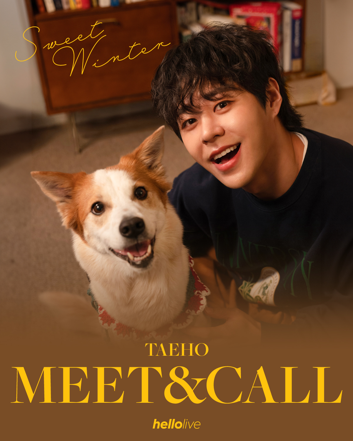 헬로라이브 | hellolive