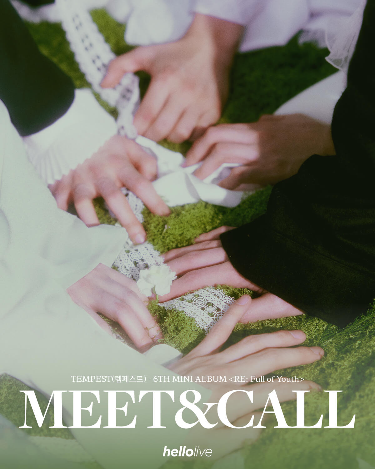 헬로라이브 | hellolive - [MEET&CALL EVENT 3] TEMPEST(템페스트) 6TH